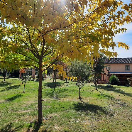 Sassomatto B&B Bioagriturelax Campogialli Exterior foto